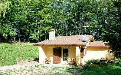 Al Faggio (Gll120)
