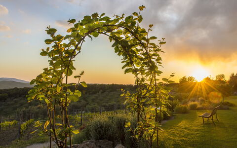 Sequerciani: Natura, Albero, Cielo, Paesaggio Naturale, Mattina, Biome, Pianta, Luce Del Sole, Paesaggio, Arco