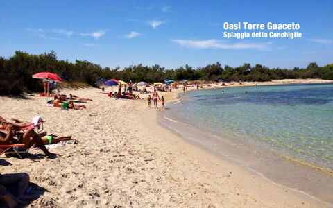 Villa Orchidea: Spiaggia, Cielo, Vacanza, Turismo, Oceano, Mare, Estate, Riva