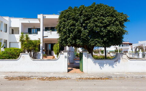 Appartamento Panorama Sul Mare: Zona Residenziale, Albero, Proprietà, Quartiere, Casa, Casa, Cittadina, Architettura, Immobiliare, Parete