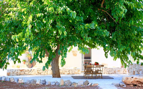 Trullo Con Piscina Per Bambini: Verde, Albero, Natura, Paesaggio Naturale, Foglia, Pianta, Woody Impianto, Ramo, Aereo, Adattamento