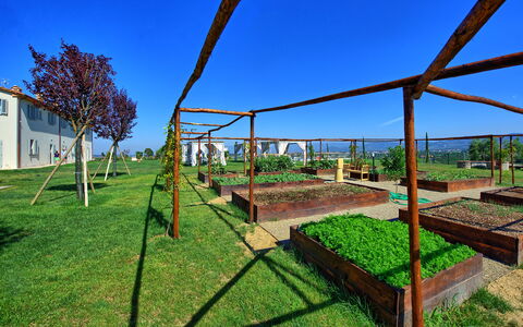 Il Sole Di Vino: Immobiliare, Erba, Cielo, Albero, Architettura, Casa, Lotto, Area Rurale, Paesaggio, Pianta