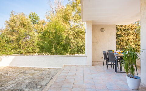 Villa Salento: Pianta, Cielo, Vaso Di Fiori, Shade, Legna, Pavimento, Erba, Pavimentazione, Manto Stradale, Pianta Della Casa
