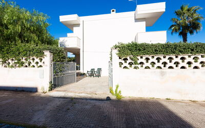 view from the street