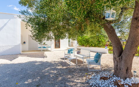 Lamia Di Nonna Mena: Proprietà, Albero, Immobiliare, Architettura, Casa, Camera, Costruzione, Mobilia, Cortile, Backyard