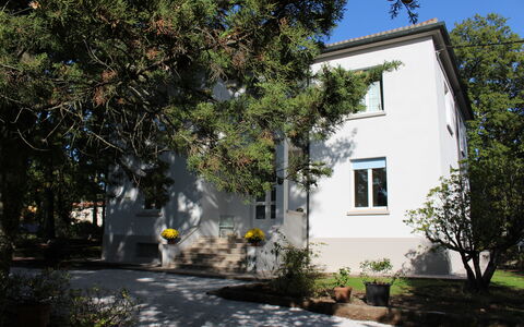 Villa La Casa Bianca: Proprietà, Casa, Casa, Costruzione, Immobiliare, Albero, Zona Residenziale, Quartiere, Architettura, Estate