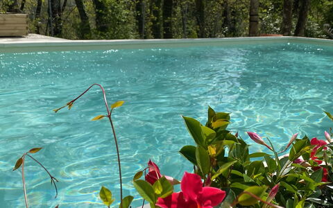Villa La Casa Bianca: Acqua, Fiore, Pianta, Comunita 'Impianto, Verde, Paesaggio Naturale, Impianto Terrestre, Vegetazione, Petalo, Alveo