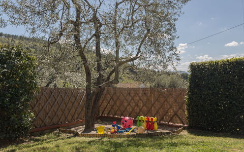 Villa Manuela: Albero, Erba, Primavera, Woody Impianto, Pianta, Casa, Arbusto, Backyard, Cortile, Lotto