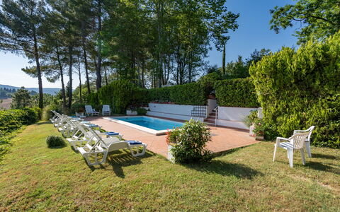 Villa Campiglia: Proprietà, Casa, Immobiliare, Casa, Estate, Villetta, Costruzione, Piscina, Backyard, Erba