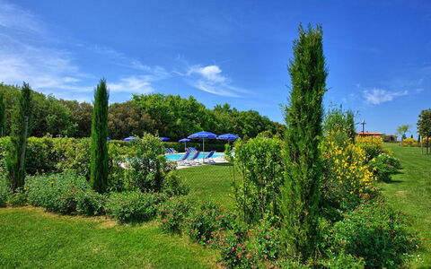 La Rimessa: Paesaggio Naturale, Natura, Verde, Cielo, Vegetazione, Albero, Proprietà, Lotto, Giardino, Ambiente Naturale
