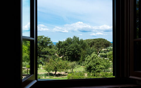 Casale Vacanze Il Granaio: Vegetazione, Cielo, Finestra, Blu, Albero, Ambiente Naturale, Botanica, Casa, Foglia, Camera