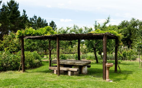 Casale Vacanze Il Granaio: Verde, Riserva Naturale, Albero, Botanica, Erba, Giardino, Padiglione, Tavolo, Graminacee, Primavera