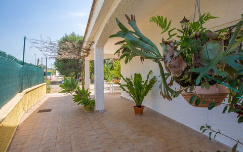 Villa Mediterranea: Cielo, Pianta, Costruzione, Foglia, Manto Stradale, Legna, Arecales, Shade, Impianto Terrestre, Immobiliare