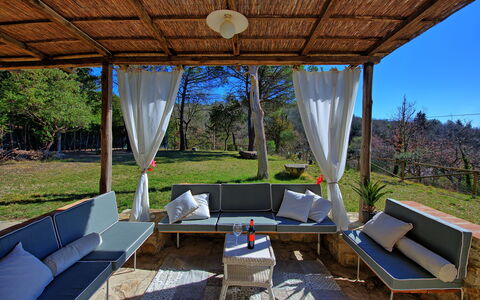 Casa Fioraie: Proprietà, Casa, Camera, Costruzione, Immobiliare, Casa, Interior Design, Mobilia, Albero, Shade