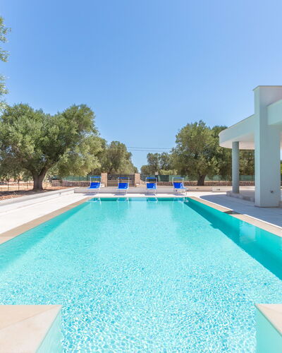 Villa Stella Cadente: Acqua, Cielo, Costruzione, Piscina, Azzurro, Albero, Shade, Rettangolo, Erba, Tempo Libero