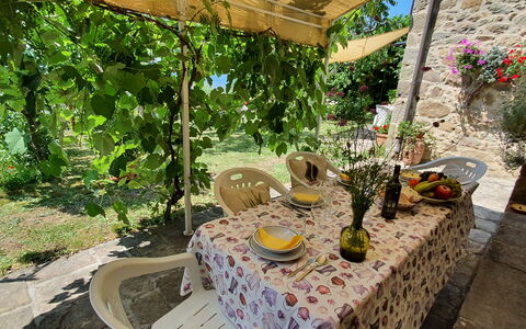 La Casa Del Sole: Pianta, Proprietà, Tavolo, Botanica, Natura, Fiore, Paesaggio, Sedia, Mobili Da Esterno, Impianto Terrestre