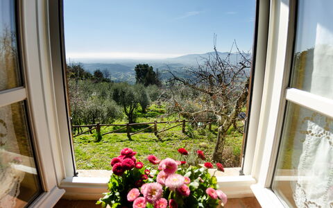 La Casa Del Sole: Proprietà, Camera, Finestra, Casa, Casa, Fiore, Costruzione, Pianta, Interior Design, Immobiliare