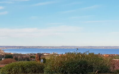 Panoramico