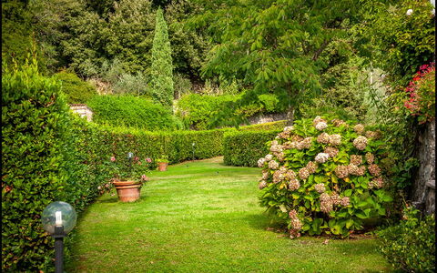 Orto Degli Olivi Proprietà: Giardino, Natura, Prato, Albero, Vegetazione, Verde, Erba, Arbusto, Paesaggio Naturale, Pianta