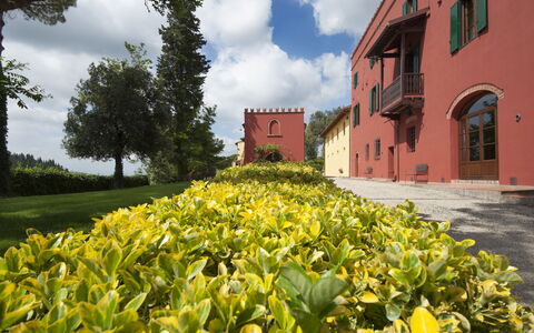 Tenuta Cambiano: Fiore, Giallo, Paesaggio Naturale, Proprietà, Pianta, Giardino, Botanica, Piantagione, Primavera, Immobiliare