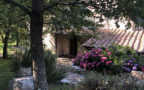 Beautiful Stone Country Villa: Albero, Parete, Pianta, Primavera, Fiore, Casa, Botanica, Giardino, Arbusto, Area Rurale