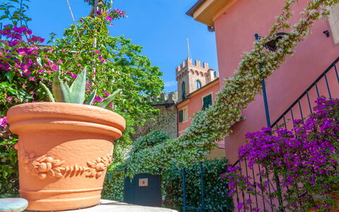 Portovecchio Apartments - Levanto: Fiore, Verde, Rosa, Primavera, Vaso Di Fiori, Pianta Della Casa, Balcone, Disegno Floreale, Fiorai