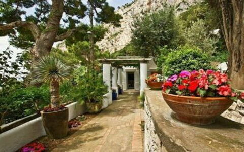 Villa Marina Little Beach: Pianta, Fiore, Proprietà, Vaso Di Fiori, Costruzione, Botanica, Albero, Vegetazione, Pianta Della Casa, Immobiliare
