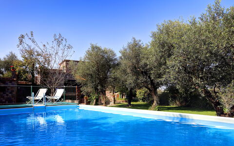 Stony Villa Volcano View: Acqua, Pianta, Cielo, Piscina, Blu, Paesaggio Naturale, Costruzione, Albero, Paesaggio, Materiale Composito