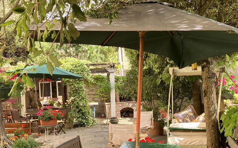 Villa Toppani Del Sodo: Pianta, Comunita 'Impianto, Shade, Botanica, Mobili Da Esterno, Tavolo, Fiore, Albero, Tavolo Esterno, Tempo Libero
