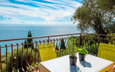 Paradise View