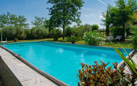 Elena: Blu, Piscina, Ricorrere, Shade, Eco Hotel, Giardino, Hacienda, Landscaping, Backyard, Mobili Da Esterno