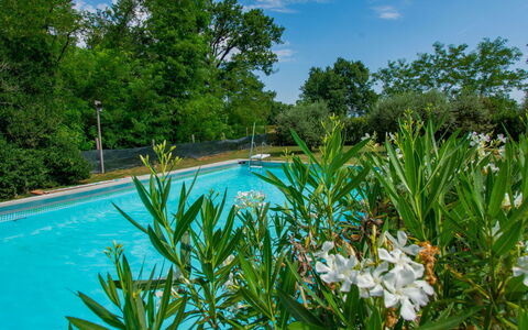 Elena: Blu, Arbusto, Giardino, Piscina, Shade, Landscaping, Giardino Botanico, Backyard, Eco Hotel