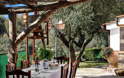 la-villa-dell-olio-massa-lubrense-villa-giardino