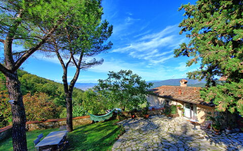 Villa Ancora: Ramo, Albero, Paesaggio Naturale, Casa, Woody Impianto, Area Rurale, Tetto, Tronco, Villetta, Villaggio