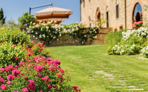 Villa Sole Del Chianti: Fiore, Pianta, Costruzione, Natura, Botanica, Petalo, Finestra, Cielo, Albero, Erba