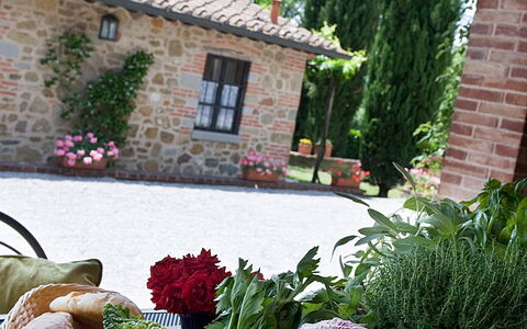 Agriturismo L'incrociata: Pianta, Cielo, Giorno, Proprietà, Fiore, Finestra, Cibo, Tavola, Nube, Tavolo