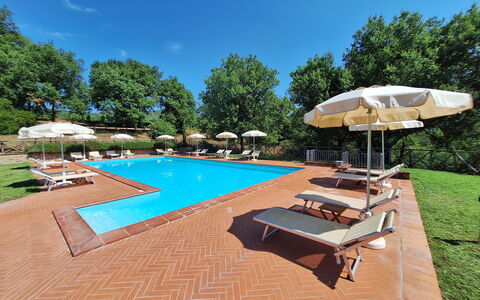 Agriturismo L'incrociata: Piscina, Ricorrere, Eco Hotel, Mobili Da Esterno, Giardino, Hacienda, Shade, Estate, Lettino, Landscaping