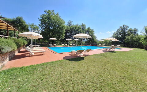 Agriturismo L'incrociata: Piscina, Ricorrere, Eco Hotel, Hacienda, Estate, Villa, Giardino, Landscaping, Shade, Hotel