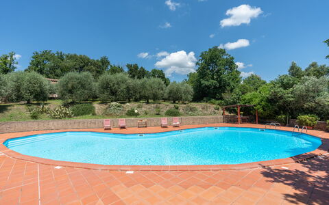 Villa Laura: Acqua, Cielo, Nube, Giorno, Proprietà, Piscina, Azzurro, Botanica, Pianta, Albero