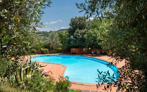 Villa Laura: Acqua, Pianta, Risorse Idriche, Cielo, Nube, Piscina, Azzurro, Paesaggio Naturale, Albero, Shade