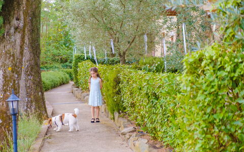 Borgo San Vincenti: Verde, Foglia, Arbusto, Primavera, Giardino, Tempo Libero, Ricreazione, Vacanza, Luce Del Sole