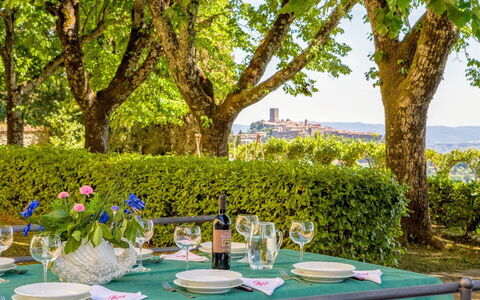 Villa Sorbaiano: Tavolo, Pianta, Tavola, Proprietà, Verde, Albero, Bicchiere Di Vino, Sedia, Cielo, Tovaglia