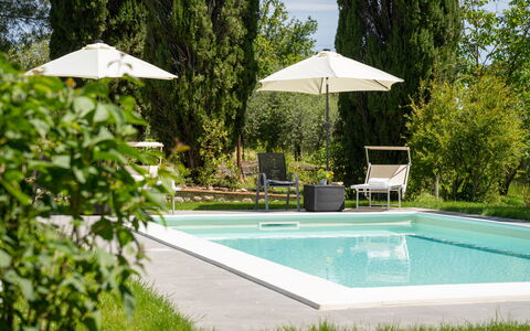 Villa Luana: Acqua, Pianta, Proprietà, Piscina, Shade, Ombrello, Albero, Mobili Da Esterno, Rettangolo, Erba
