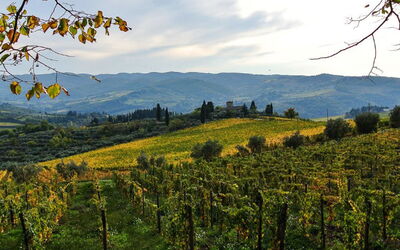 Casa vacanza Casa 360 - Greve in Chianti, Toscana, Italia