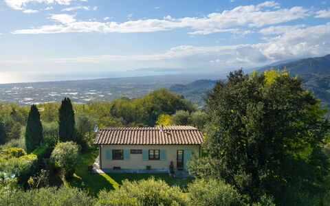 Villa Elisa: Geografia Montane, Collina, Paesaggio Naturale, Vegetazione, Montagna, Paesaggio, Highland, Area Rurale, Hill Station, Arbusto