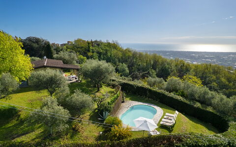 Villa Elisa: Paesaggio Naturale, Paesaggio, Piscina, Giardino, Estate, Landscaping, Eco Hotel, Piantagione, Villa, Agriturismo