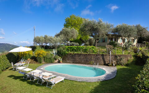 Villa Elisa: Piscina, Mobili Da Esterno, Ricorrere, Estate, Giardino, Hacienda, Eco Hotel, Villetta, Backyard, Cortile