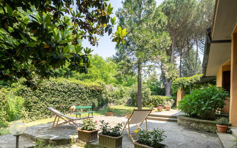 Villa Del Mugello: Pianta, Proprietà, Costruzione, Vaso Di Fiori, Shade, Albero, Vegetazione, Cielo, Erba, Pianta Della Casa