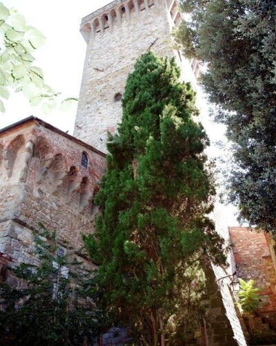 Tower