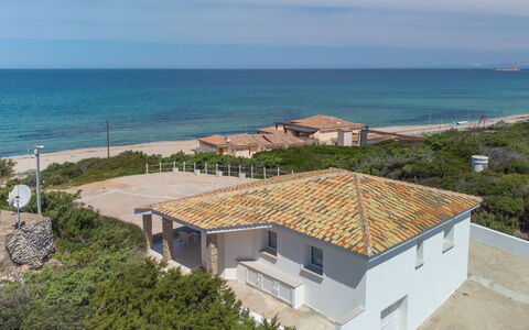 Chicca: Acqua, Cielo, Proprietà, Blu, Costruzione, Pianta, Costiera E Morfologie Oceanic, Albero, Casa, Urban Design